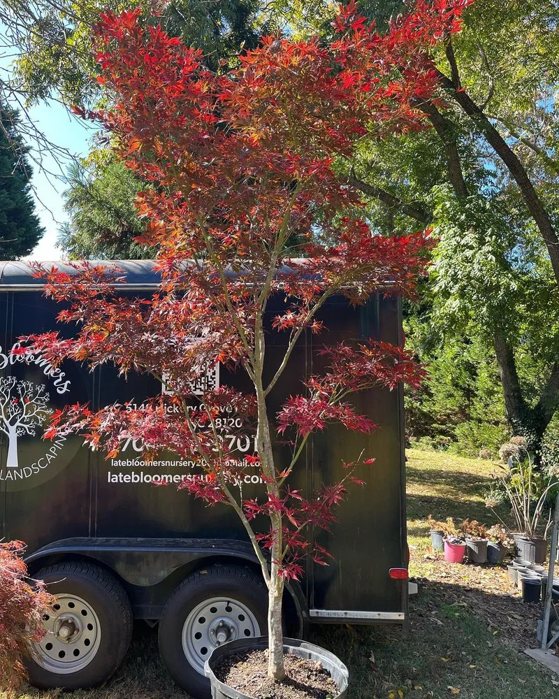 Custom garden landscaping for homes across Mount Holly, NC - Late Bloomers Nursery and Landscaping