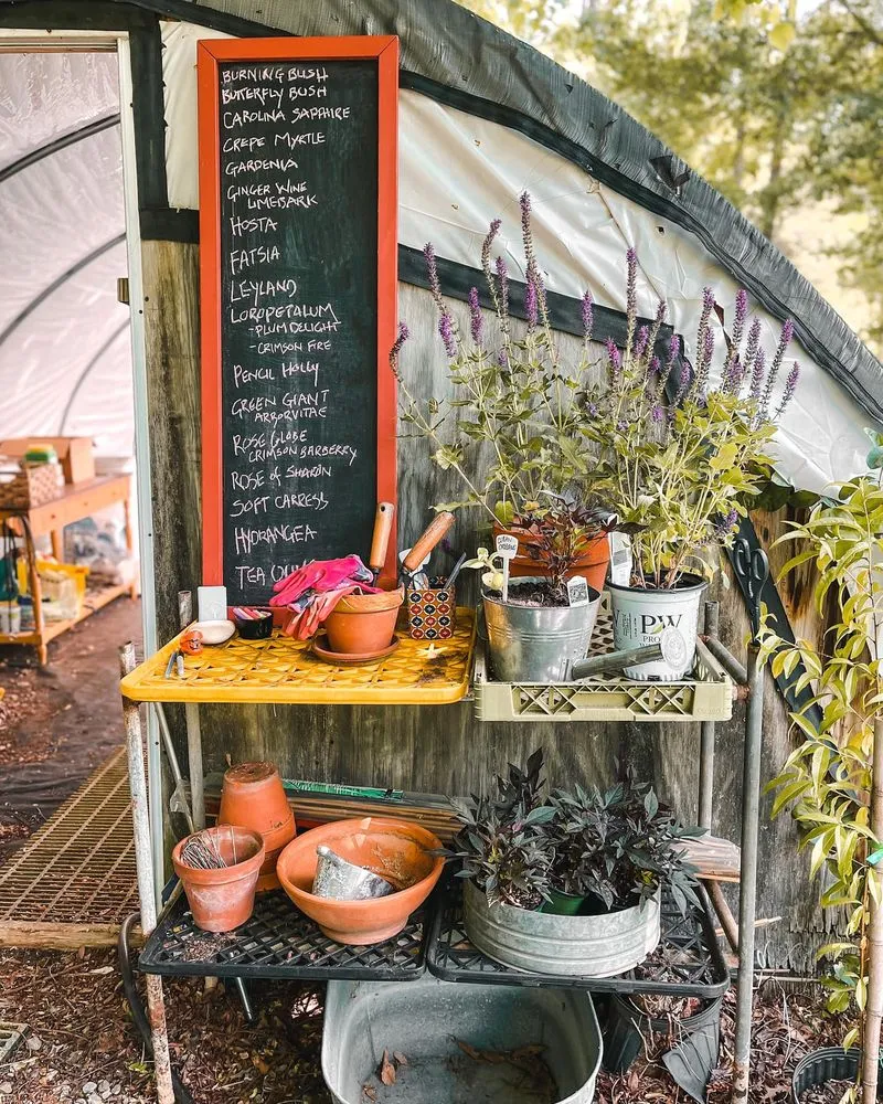 Custom landscape design for residential properties across Mount Holly, NC - Late Bloomers Nursery and Landscaping