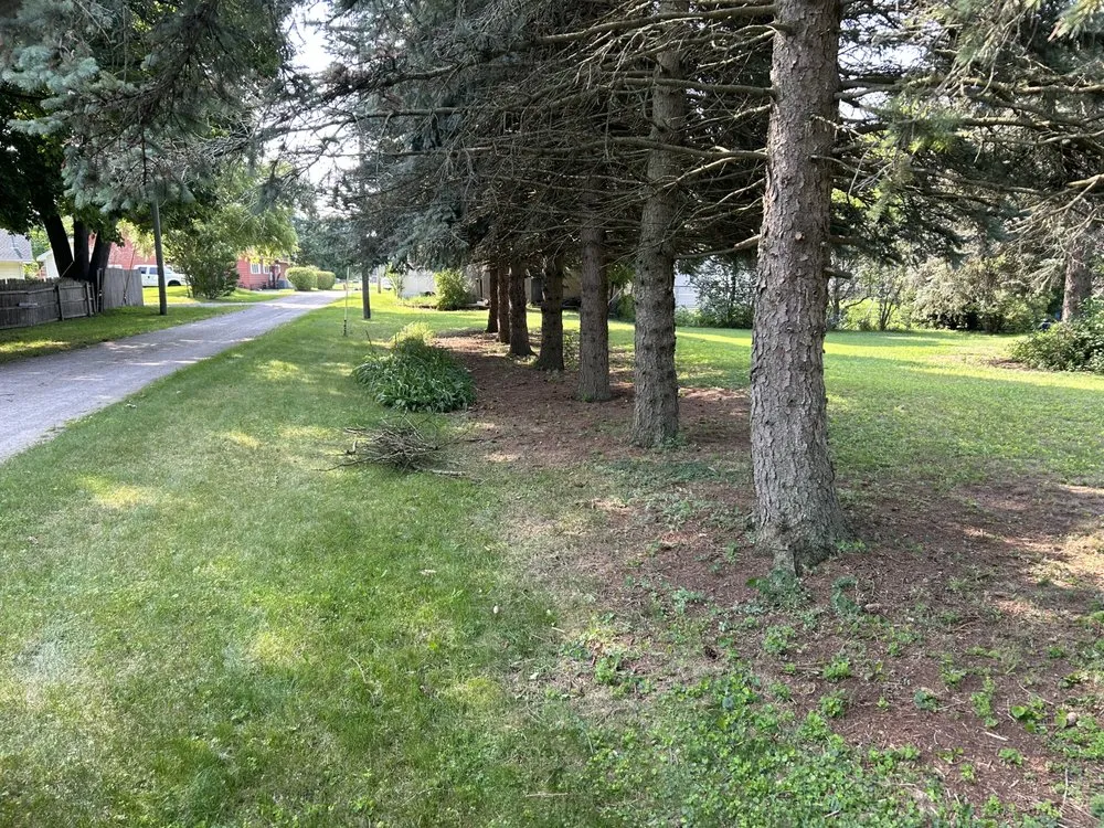 Affordable landscaping services in Port Huron, MI - Latimer Lawn Service