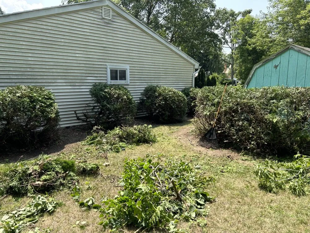 Professional yard cleanup service near you in Port Huron, MI by Latimer Lawn Service
