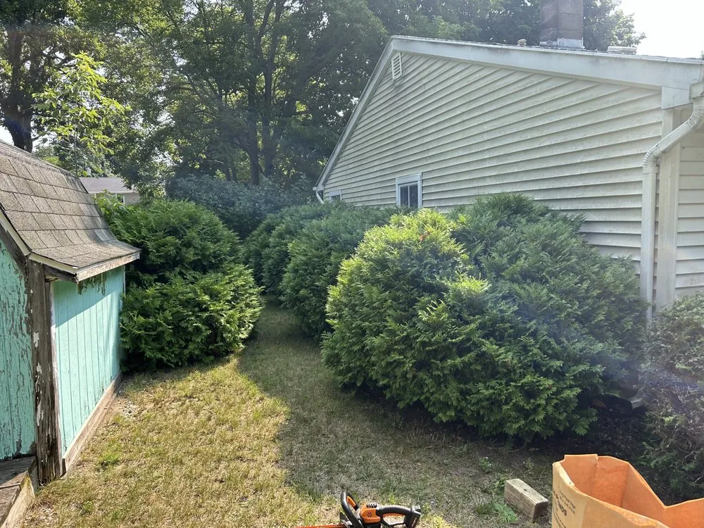 Reliable yard cleanup service for outdoor upgrades across Port Huron, MI - Latimer Lawn Service