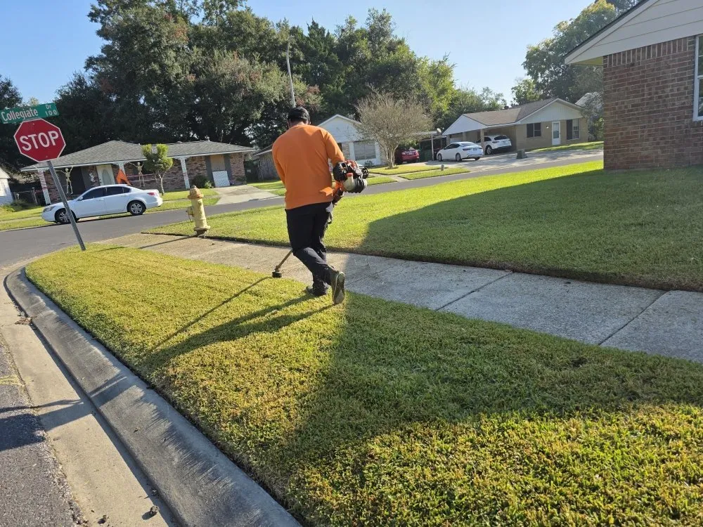 Local residential landscaping in Lafayette, LA - Latin Green Park