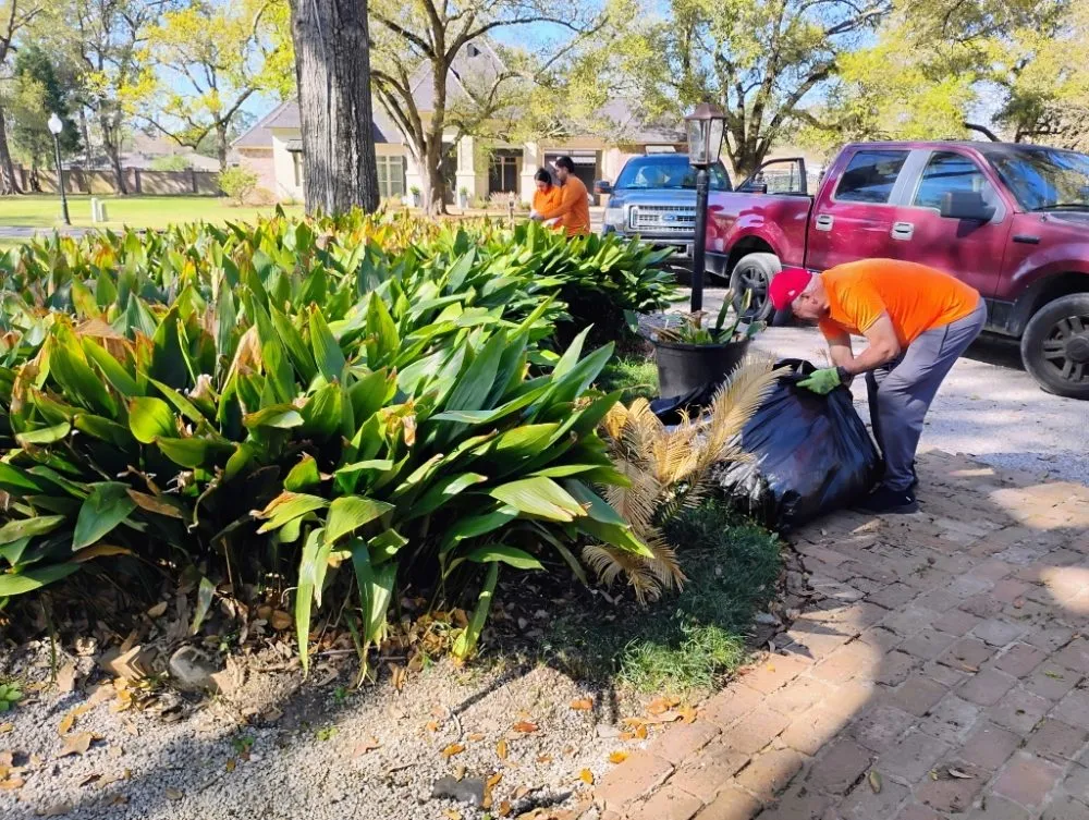 Reliable landscaping services near you in Lafayette, LA by Latin Green Park