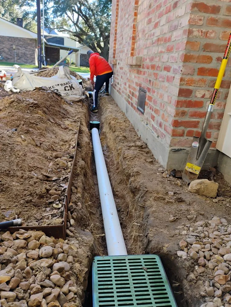 Trusted landscape design in Lafayette, LA - Latin Green Park