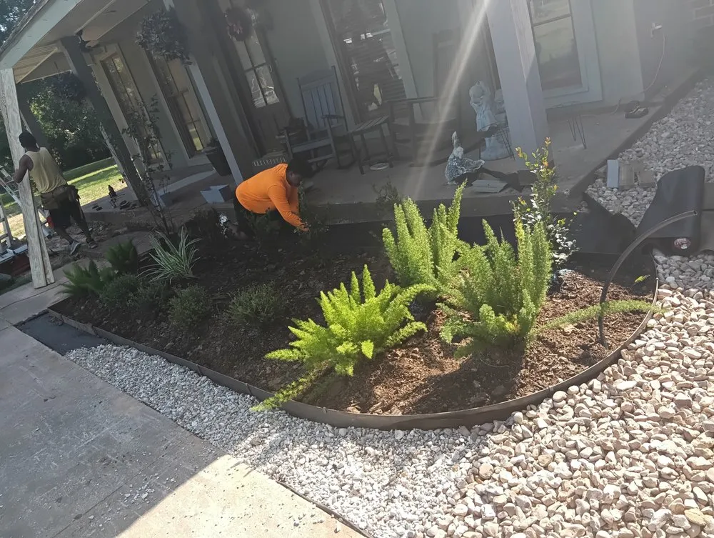 Top-rated landscape installation in Lafayette, LA by Latin Green Park