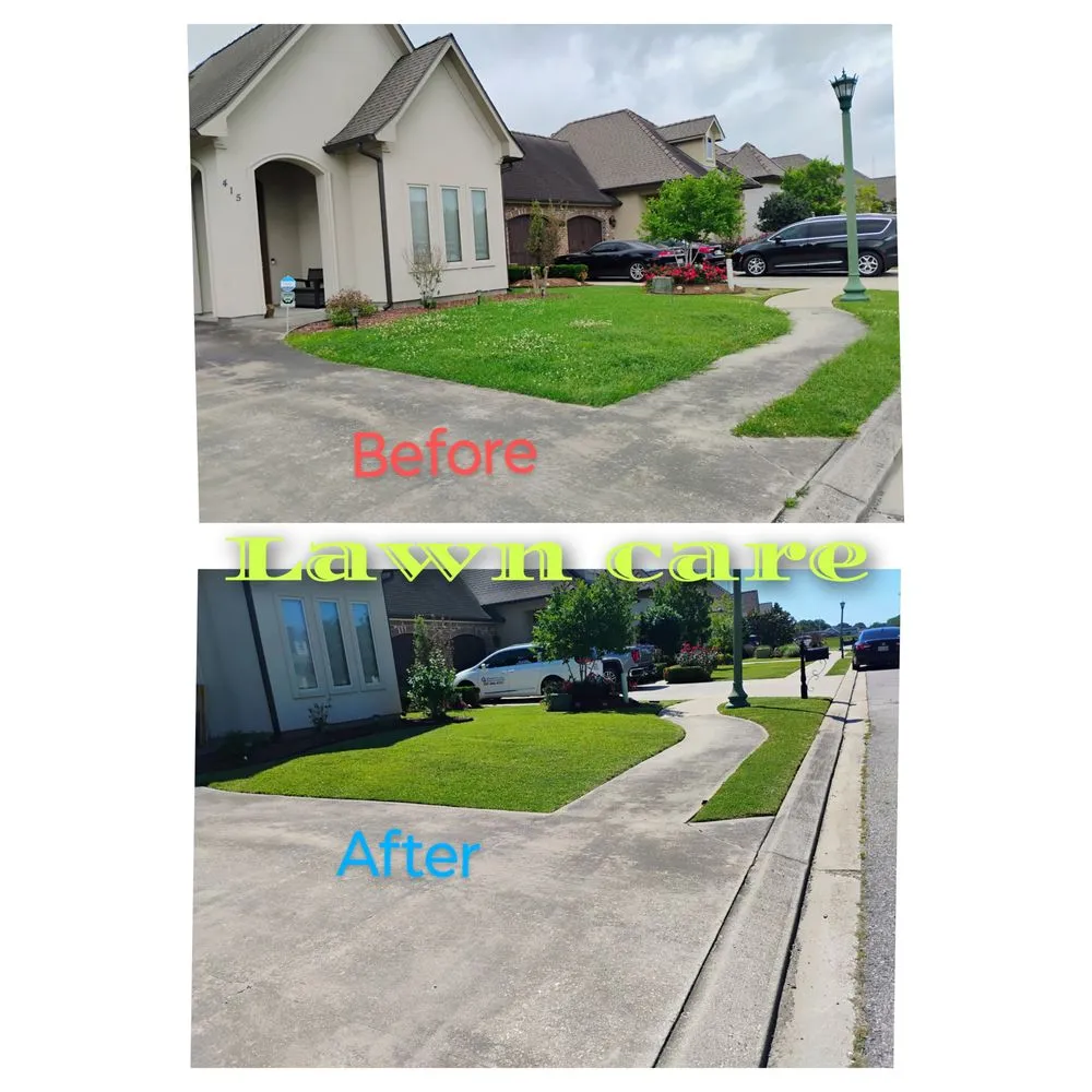 Trusted outdoor landscaping in Lafayette, LA - Latin Green Park