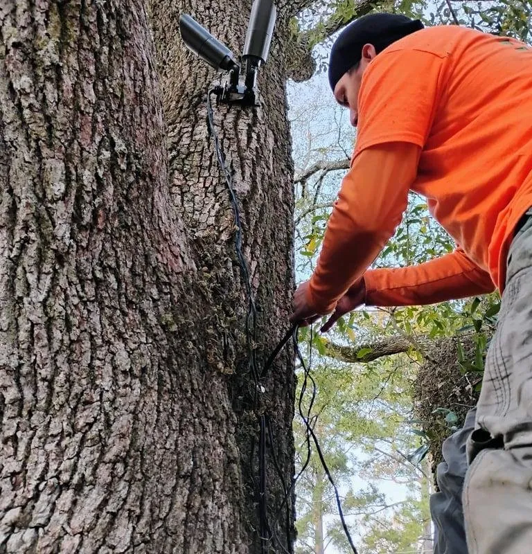 Custom lawn care service for outdoor upgrades in Lafayette, LA by Latin Green Park