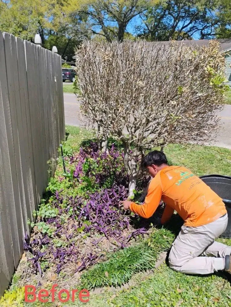 Local lawn mowing service in Lafayette, LA - Latin Green Park