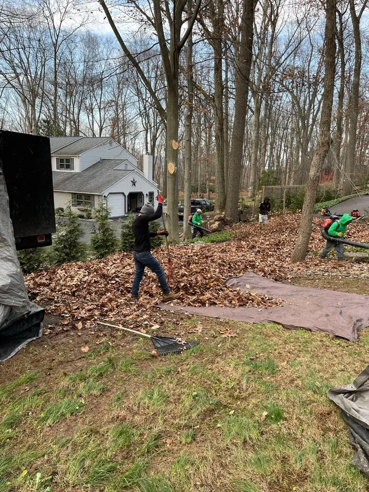 Custom landscape design in Bensalem, PA - Latino Landscaping & Tree Service