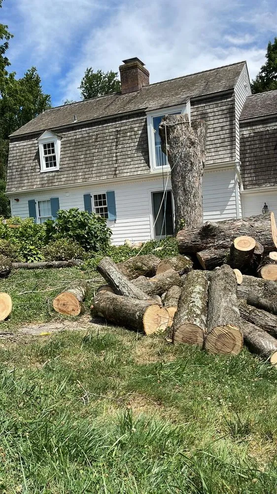 Reliable landscape installation for outdoor upgrades in Bensalem, PA by Latino Landscaping & Tree Service