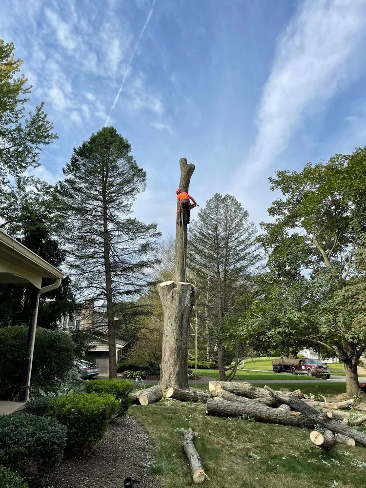 Top-rated landscape design in Bensalem, PA - Latino Landscaping & Tree Service