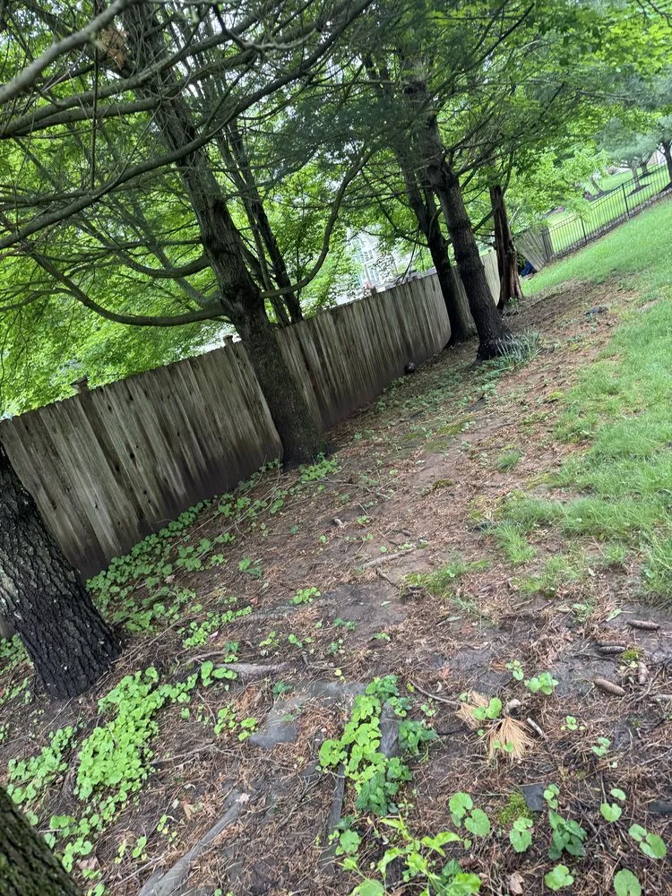 Trusted lawn mowing service in Bensalem, PA - Latino Landscaping & Tree Service