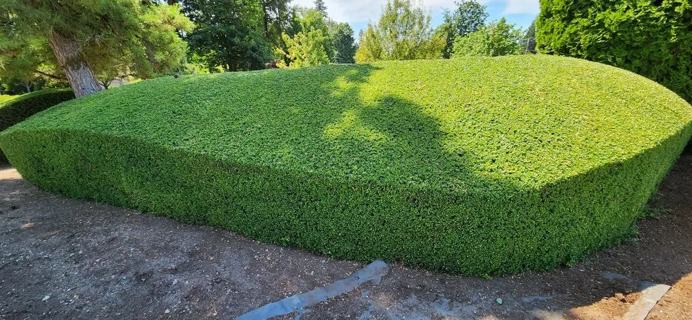 Reliable landscape installation for residential properties across Kent, WA - Latinos Lawn & Garden Service