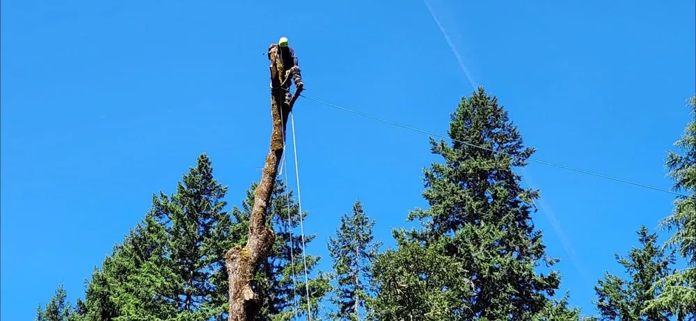 Reliable garden landscaping in Kent, WA - Latinos Lawn & Garden Service