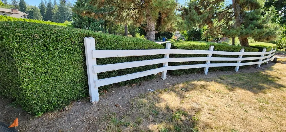 Reliable garden landscaping for residential properties in Kent, WA by Latinos Lawn & Garden Service