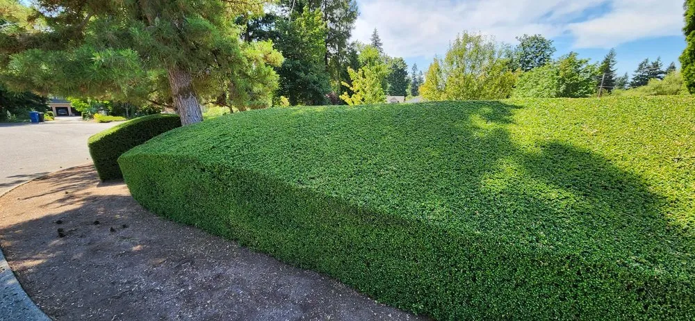 Expert landscape installation experts serving Kent, WA - Latinos Lawn & Garden Service