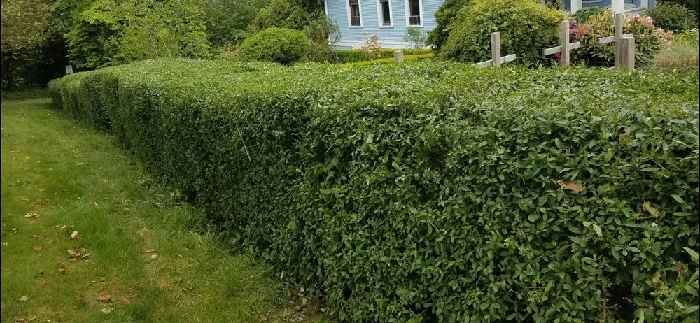 Expert landscape installation near you across Kent, WA - Latinos Lawn & Garden Service