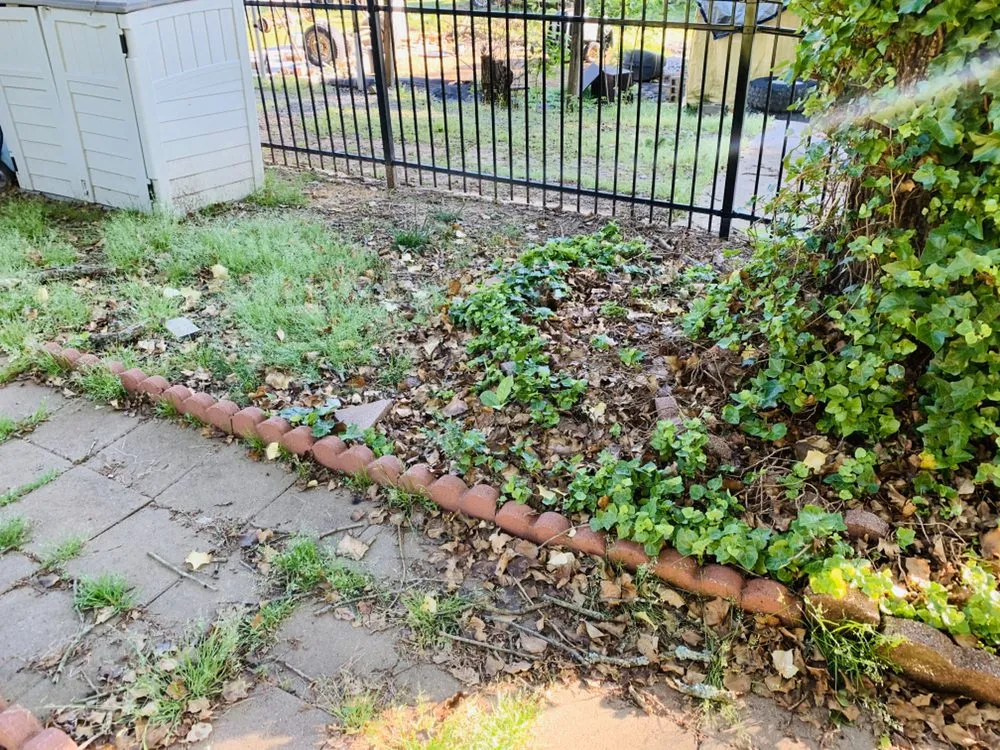 Professional landscape design in Conway, AR by Latinos Lawn Care