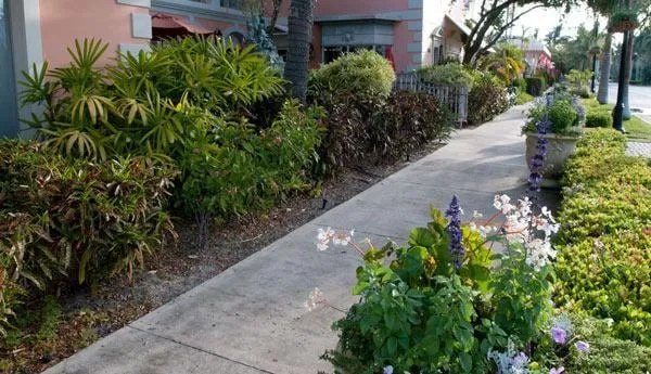 Local landscape installation for year-round maintenance across Naples, FL - Latitude 26 Lawn and Garden