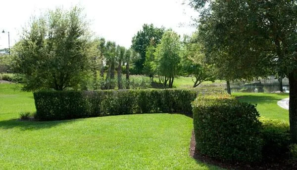 Local landscape design in Naples, FL - Latitude 26 Lawn and Garden