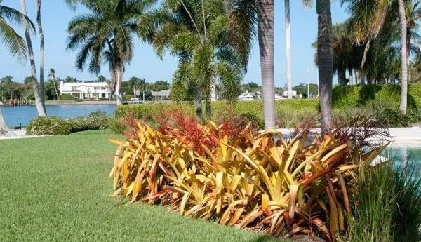 Expert outdoor landscaping for year-round maintenance across Naples, FL - Latitude 26 Lawn and Garden