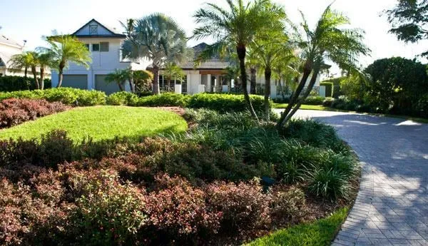 Custom landscaping services experts serving Naples, FL - Latitude 26 Lawn and Garden