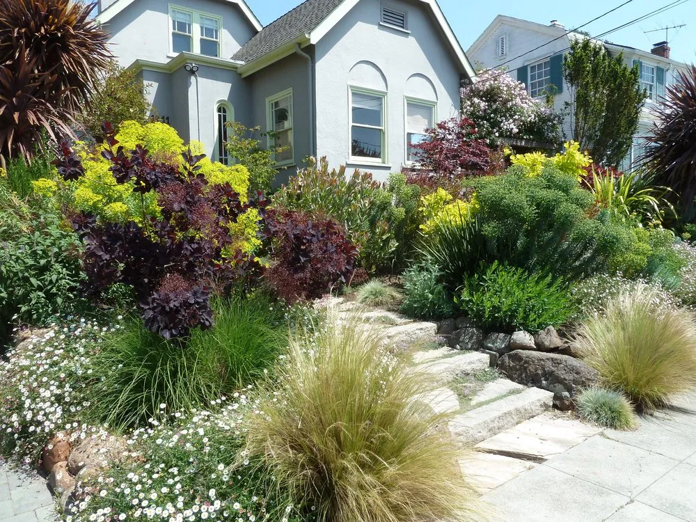 Expert yard cleanup service in Berkeley, CA - Latitude 37° Landscape + Design