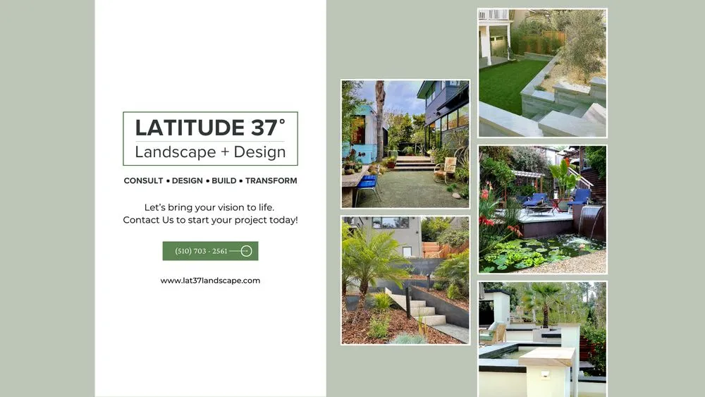Local yard maintenance in Berkeley, CA - Latitude 37° Landscape + Design