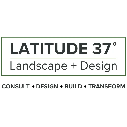 Expert yard cleanup service experts serving Berkeley, CA - Latitude 37° Landscape + Design