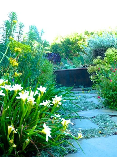 Local landscaping services experts serving Berkeley, CA - Latitude 37° Landscape + Design