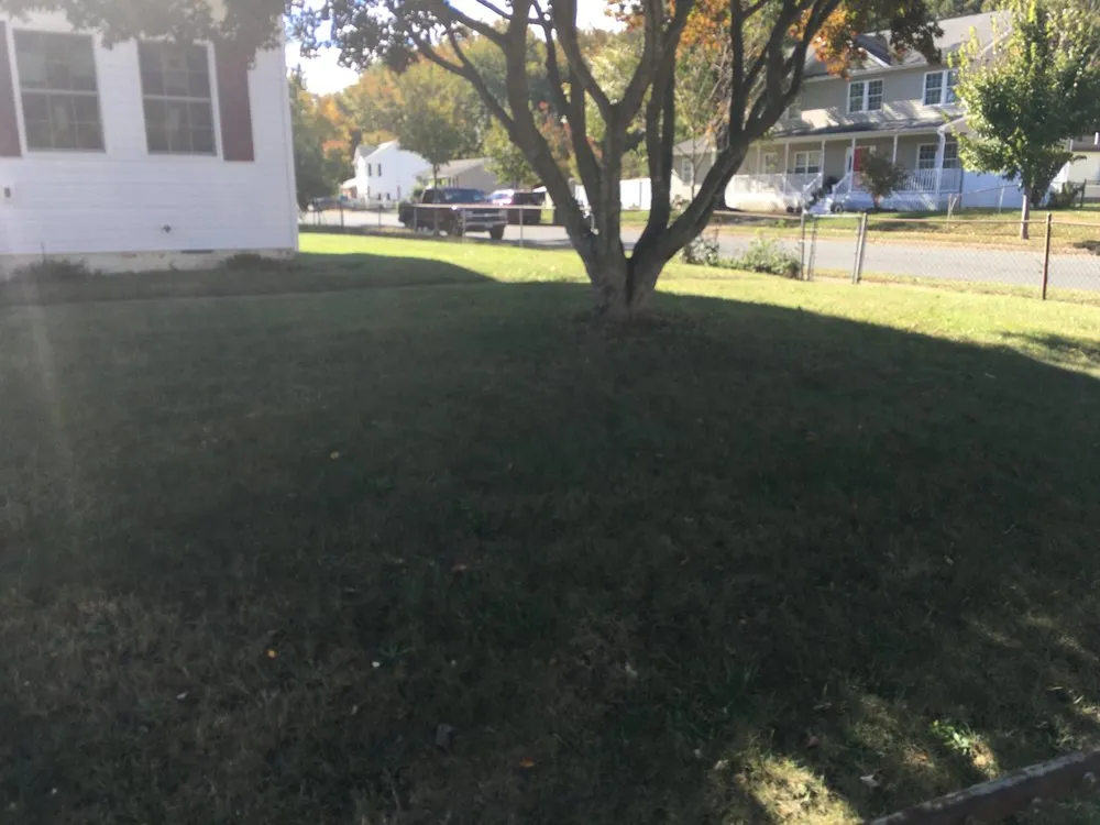 Affordable landscape installation experts serving Spotsylvania, VA - Latney Landscaping