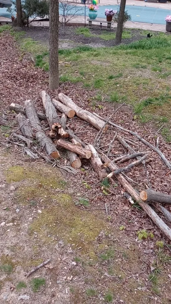 Top-rated landscaping services with custom design in Spotsylvania, VA by Latney Landscaping