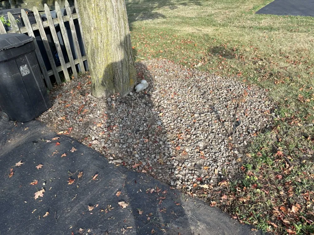 Affordable yard cleanup service in Syracuse, NY by LaTray’s lawn care and property management