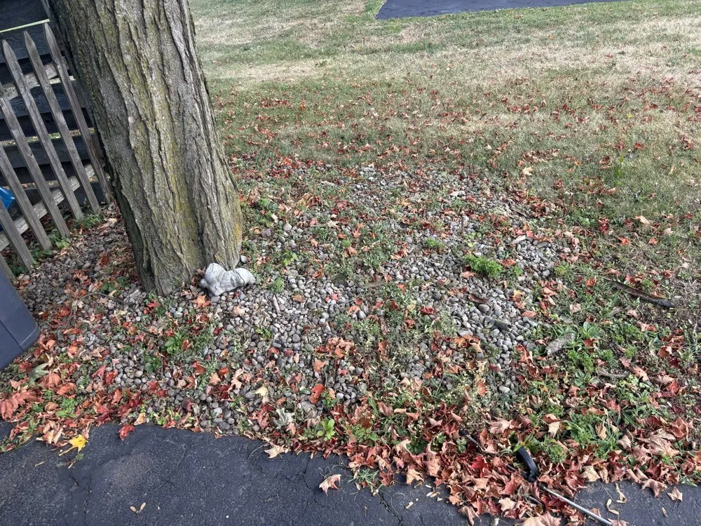 Trusted residential landscaping in Syracuse, NY - LaTray’s lawn care and property management