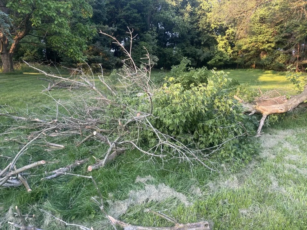 Reliable garden landscaping for beautiful yards in Syracuse, NY by LaTray’s lawn care and property management