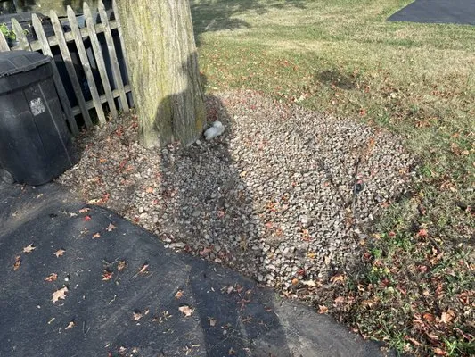 LaTray’s lawn care and property management Logo