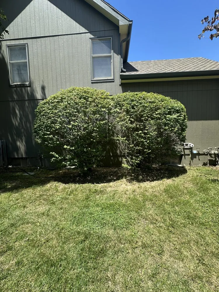 Professional residential landscaping in Kansas City, MO by Latz’s Services