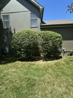 Latz’s Services Logo