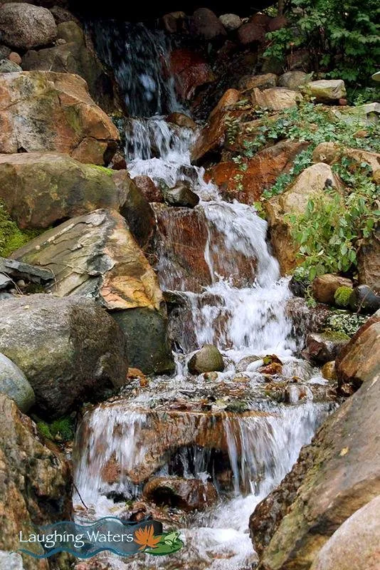 Top-rated lawn care service for beautiful yards across Palos Heights, IL - Laughing Waters