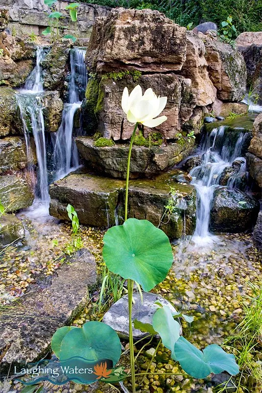 Trusted lawn care service for residential properties across Palos Heights, IL - Laughing Waters