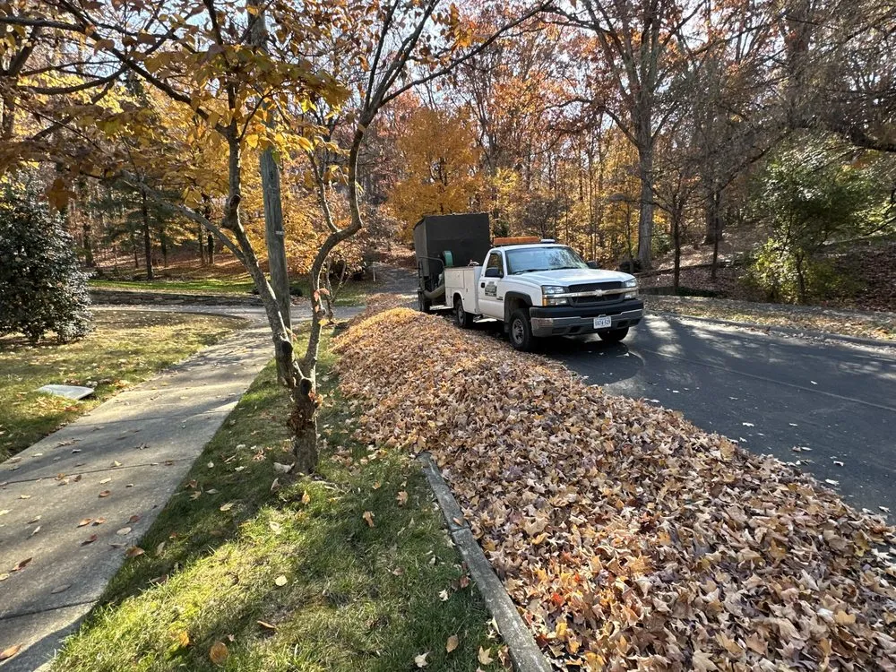 Expert landscape installation in Cave Spring, VA by Lauman Landscaping Services
