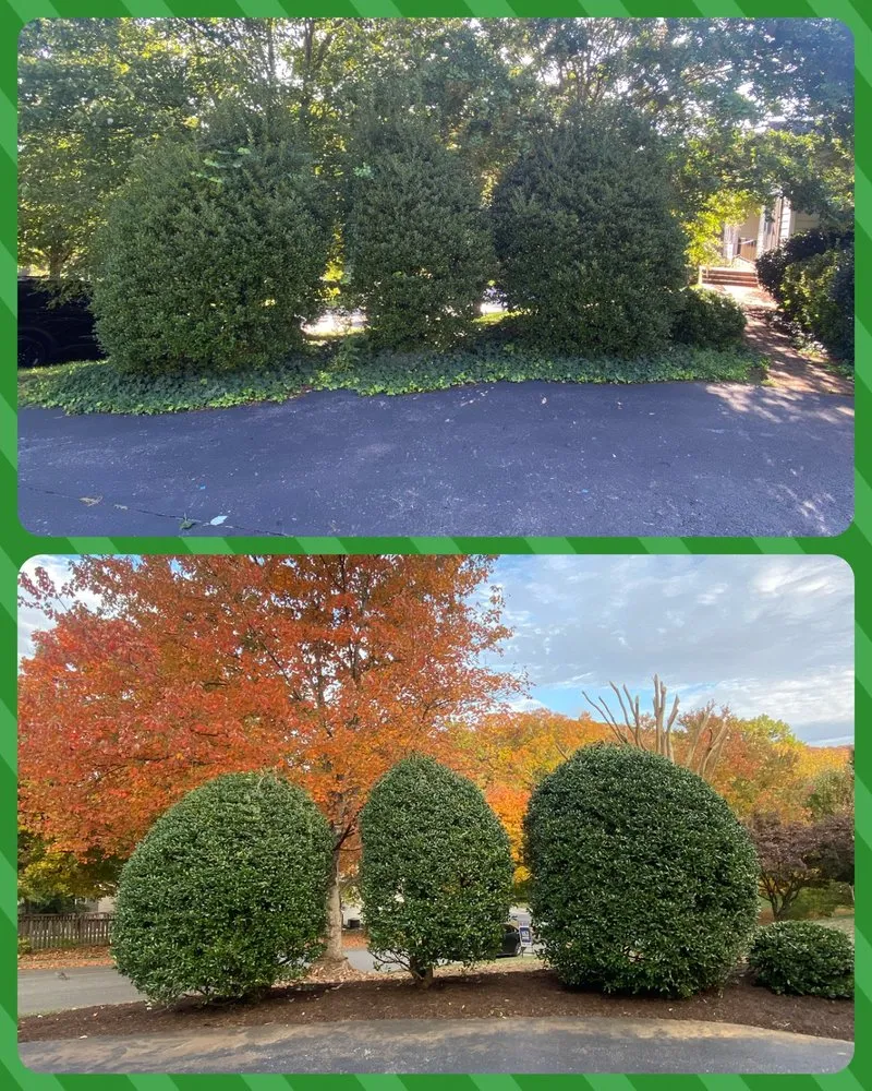 Professional yard cleanup service for homes across Cave Spring, VA - Lauman Landscaping Services