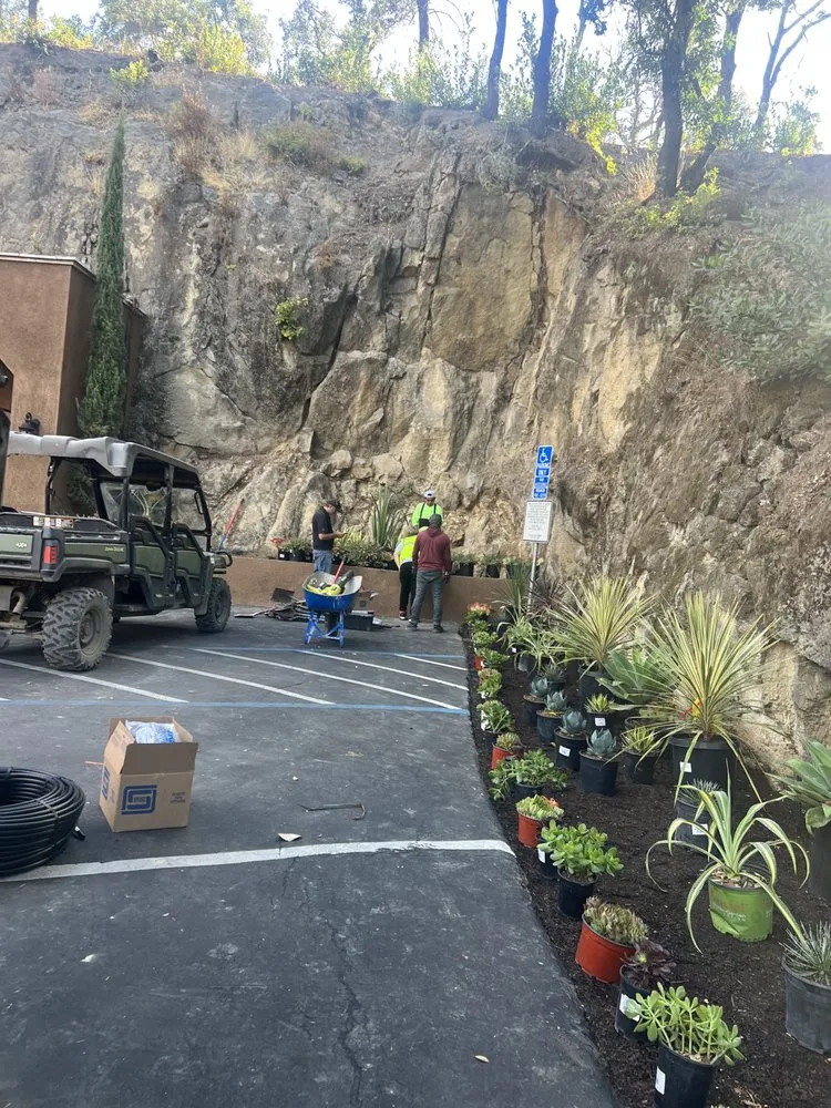 Professional garden landscaping experts serving Pleasanton, CA - Laura’s Landscaping Service