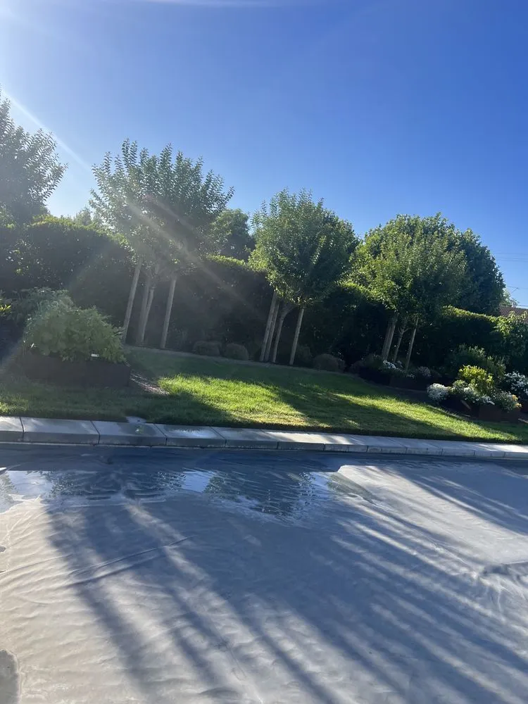 Reliable yard maintenance in Pleasanton, CA - Laura’s Landscaping Service