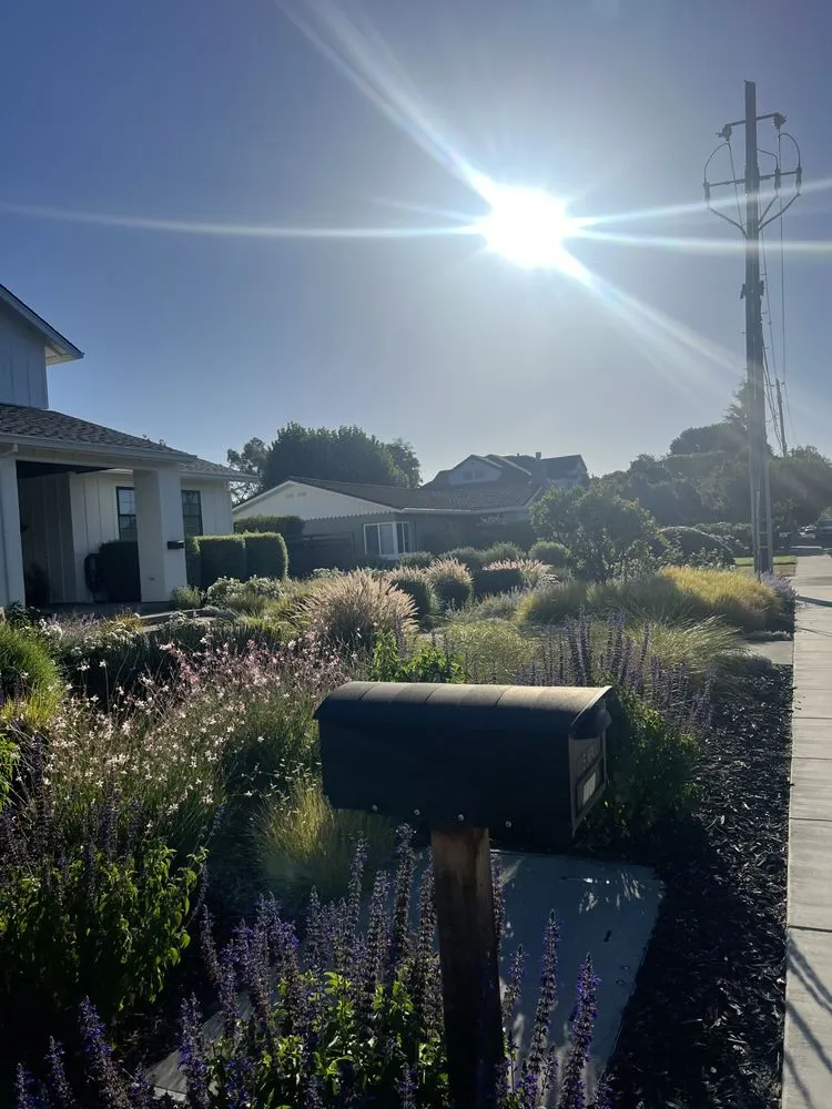 Affordable garden landscaping near you in Pleasanton, CA by Laura’s Landscaping Service