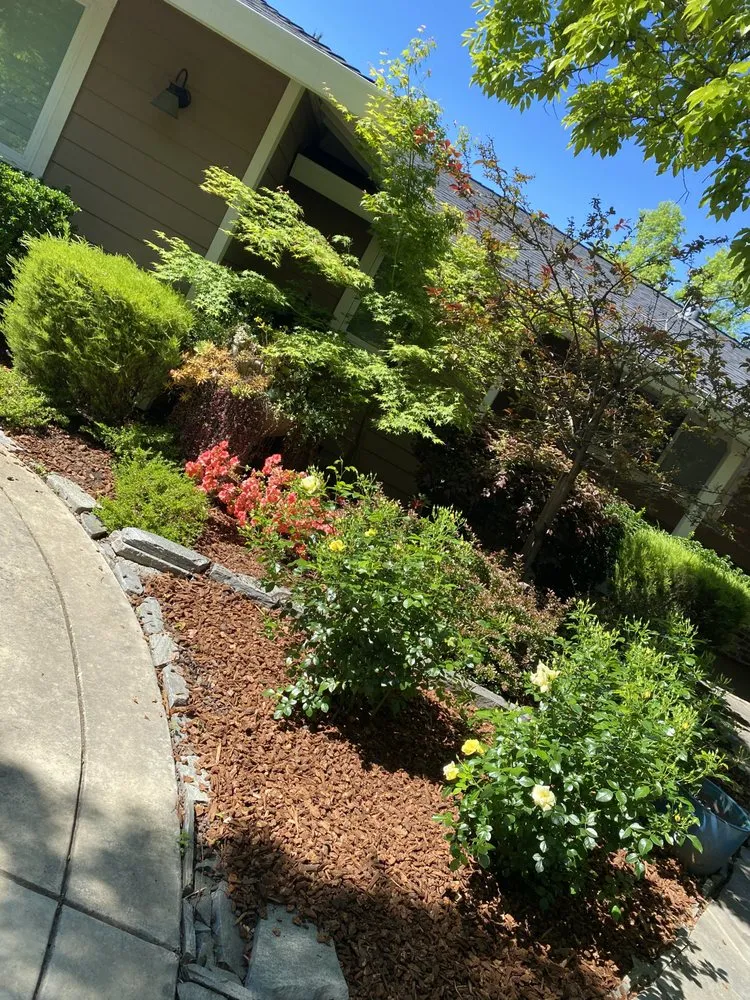 Trusted garden landscaping near you across Pleasanton, CA - Laura’s Landscaping Service