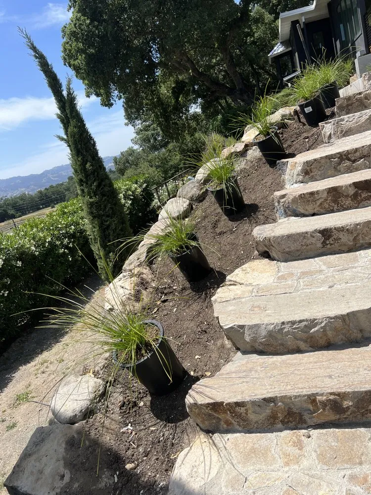 Expert landscaping services in Pleasanton, CA - Laura’s Landscaping Service