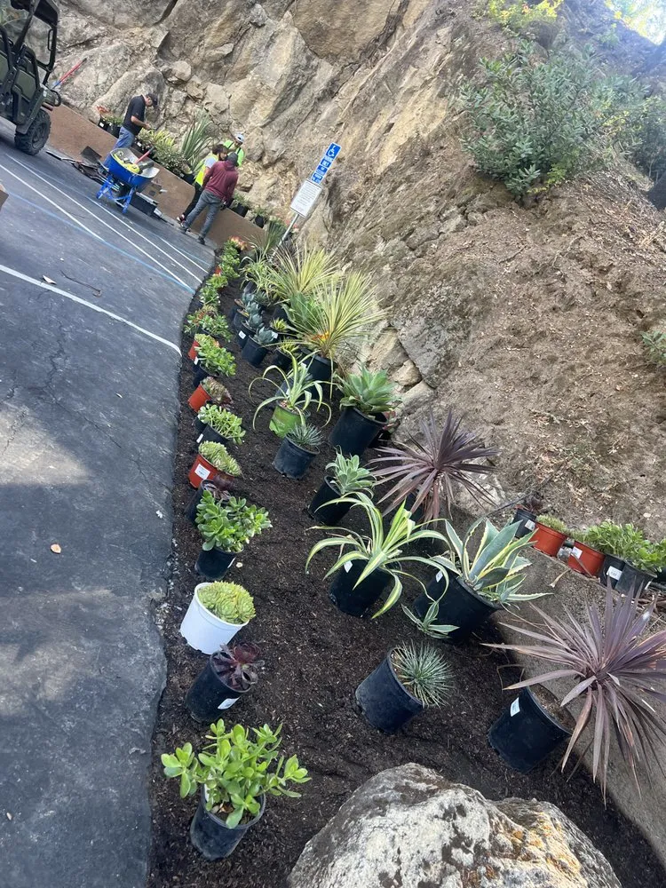 Trusted landscaping services experts serving Pleasanton, CA - Laura’s Landscaping Service