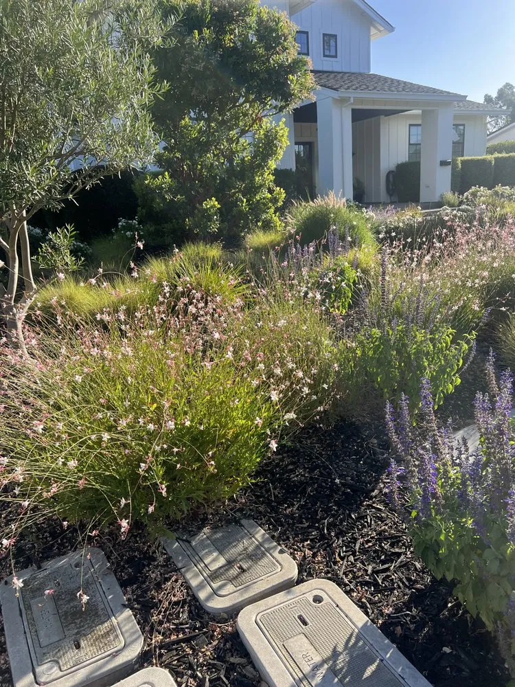 Expert outdoor landscaping experts serving Pleasanton, CA - Laura’s Landscaping Service