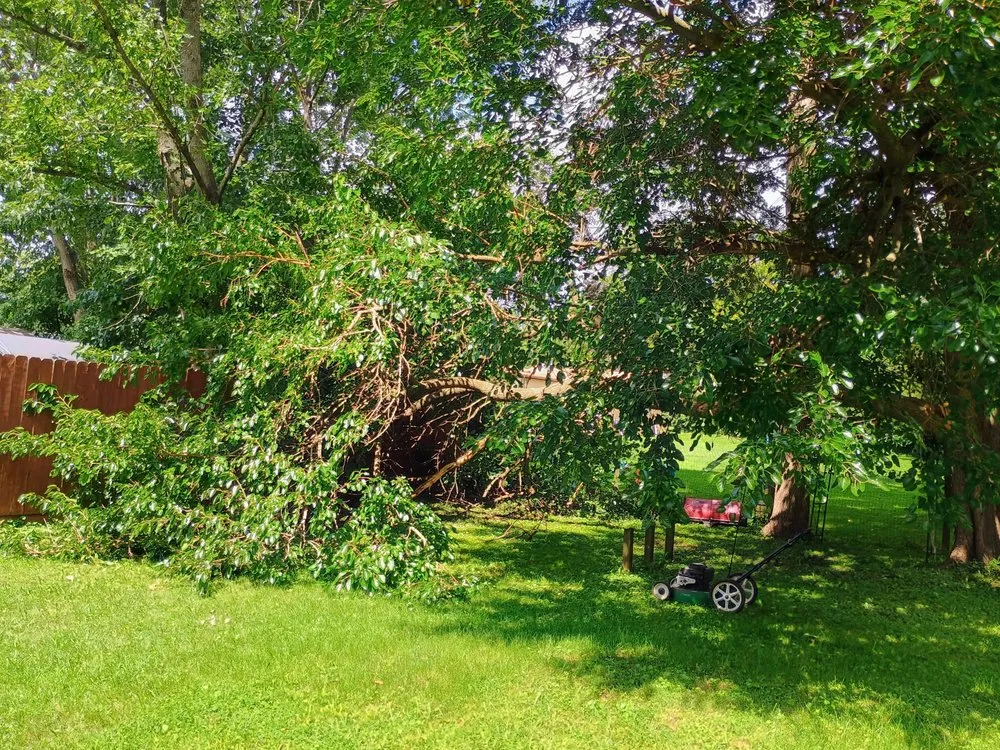 Local landscaping services experts serving La Porte, IN - Laura's Legacy Outdoor Services